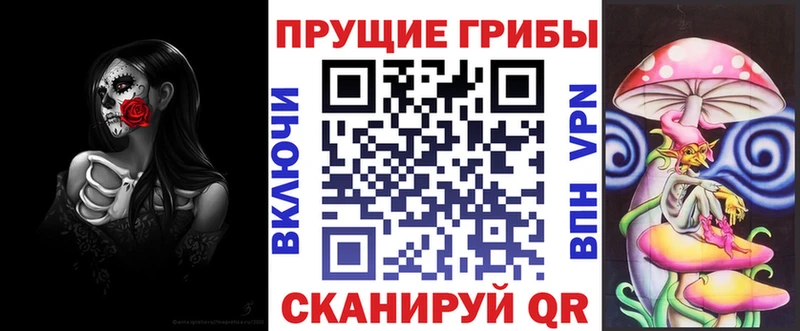 наркота  Малгобек  Галлюциногенные грибы Magic Shrooms 